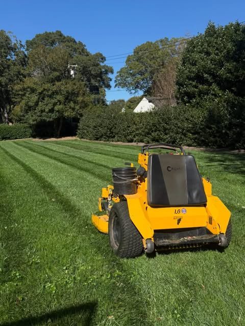 Mower parked on a striped lawn