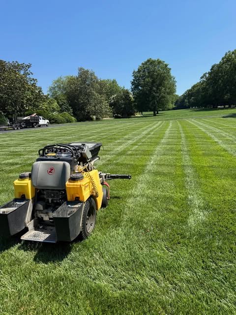Stand-on mower on a freshly striped lawn