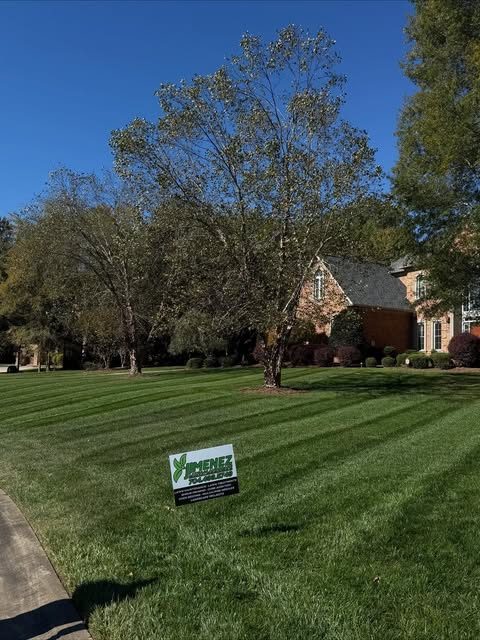 Striped front lawn with a Jimenez yard sign
